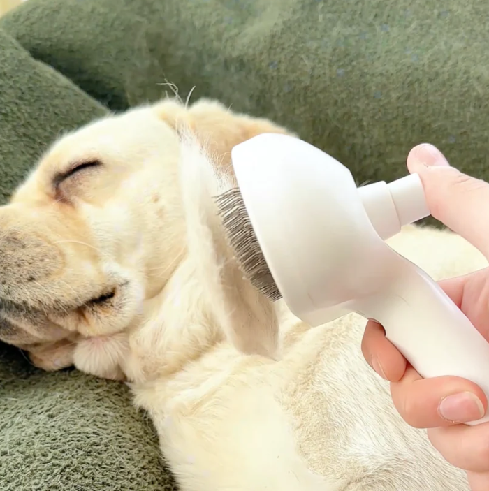 Steam Pet Grooming Brush for Dogs & Cats - Water Spray Comb for Deshedding & Styling