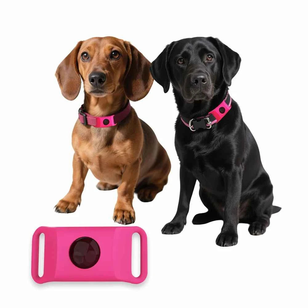 Best Anti-Flea & Tick Dog & Cat Collar 2025 – Safe Adjustable Pet Collar with Essential Oils