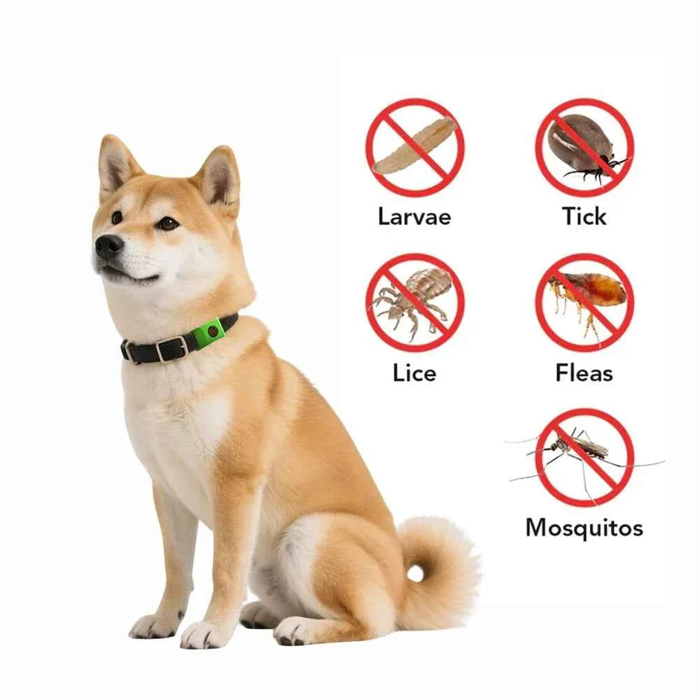 Best Anti-Flea & Tick Dog & Cat Collar 2025 – Safe Adjustable Pet Collar with Essential Oils