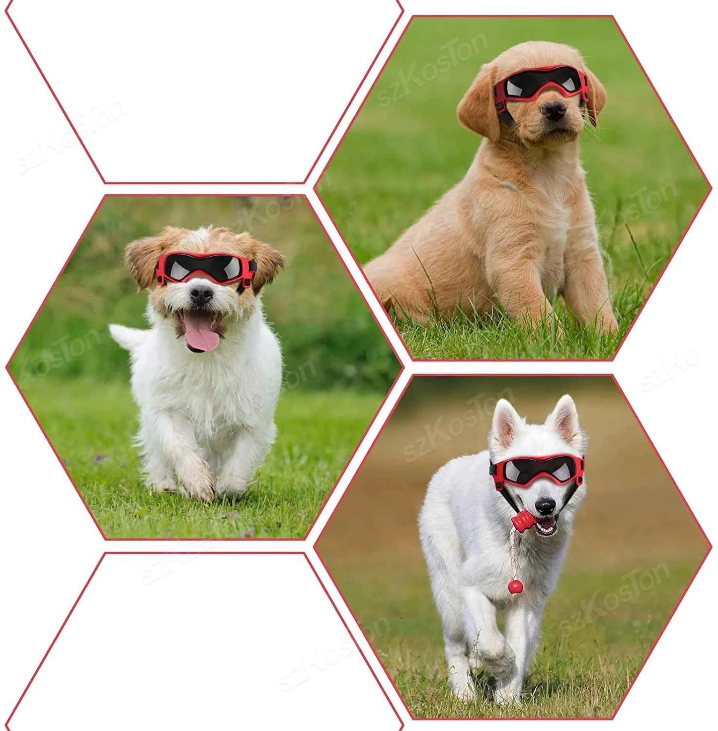 Adjustable Dog Goggles | UV Windproof Pet Eye Protection