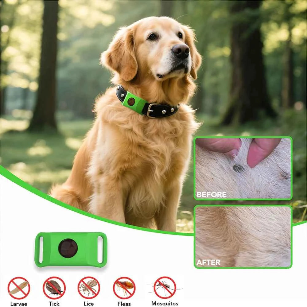 Best Anti-Flea & Tick Dog & Cat Collar 2025 – Safe Adjustable Pet Collar with Essential Oils
