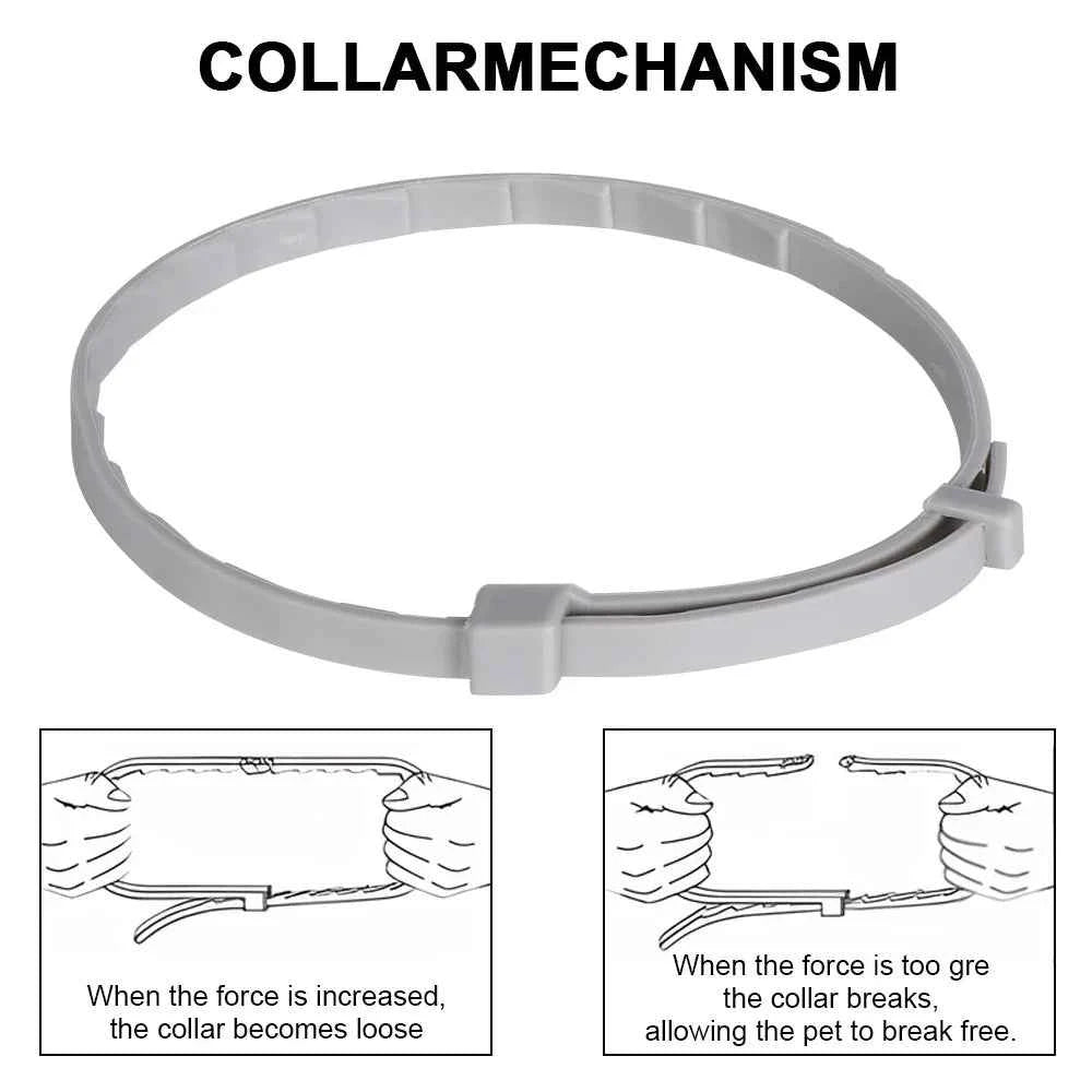 Best Anti-Flea & Tick Dog & Cat Collar 2025 – Safe Adjustable Pet Collar with Essential Oils