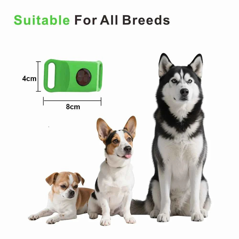 Best Anti-Flea & Tick Dog & Cat Collar 2025 – Safe Adjustable Pet Collar with Essential Oils