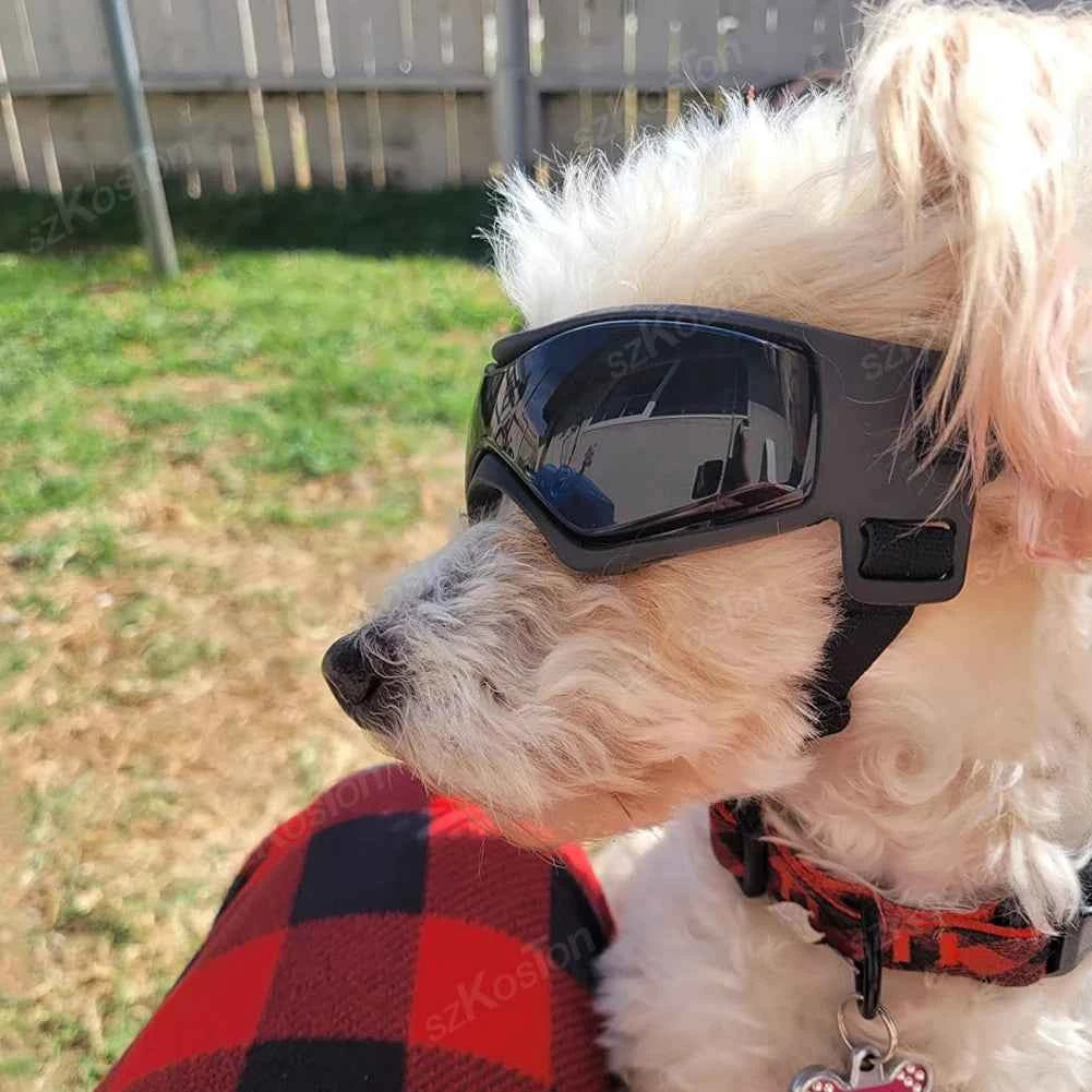 Adjustable Dog Goggles | UV Windproof Pet Eye Protection