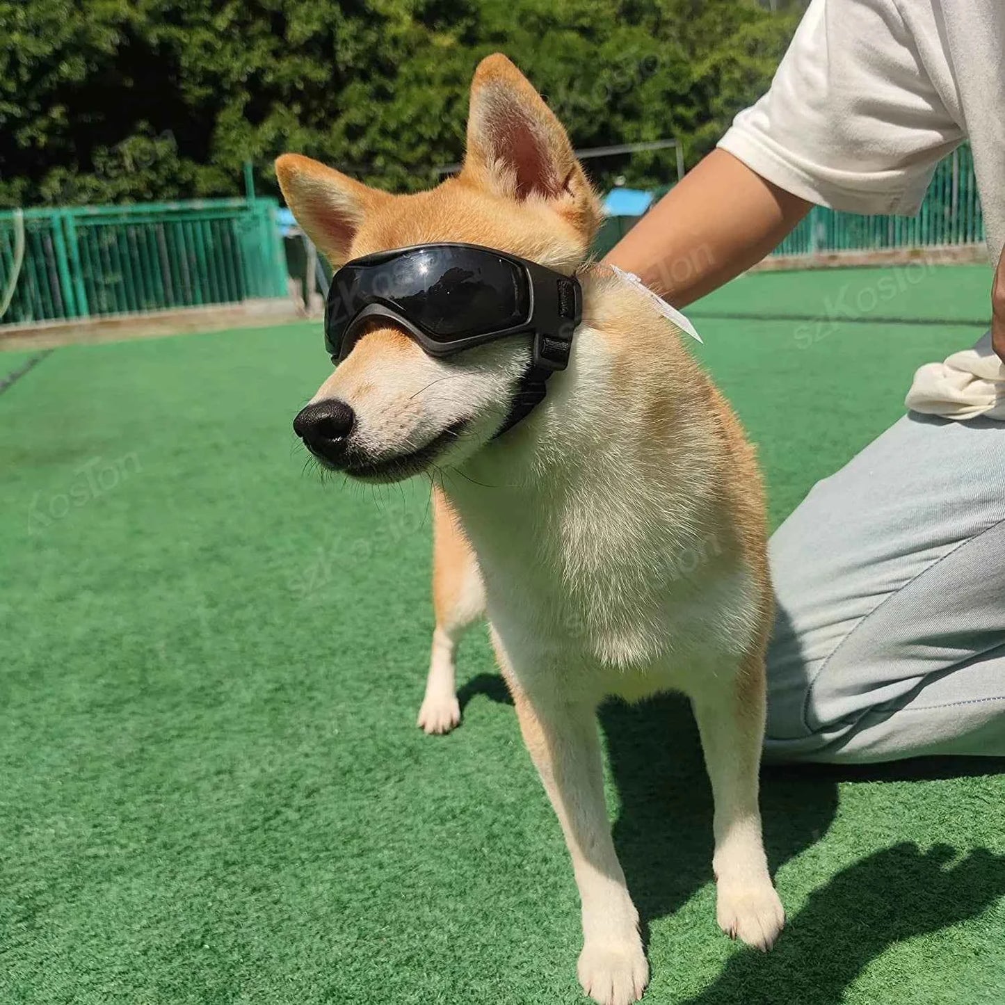 Adjustable Dog Goggles | UV Windproof Pet Eye Protection