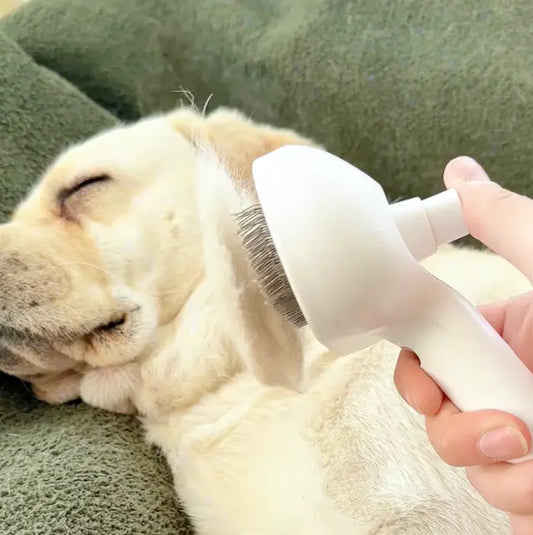 Person using a white pet grooming brush on a sleeping dog