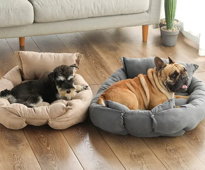 Two dogs in pet beds on a wooden floor with a couch and plants in the background
