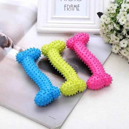 Rubber Chew Toy for Small Dogs – Teeth Cleaning & Training Toy