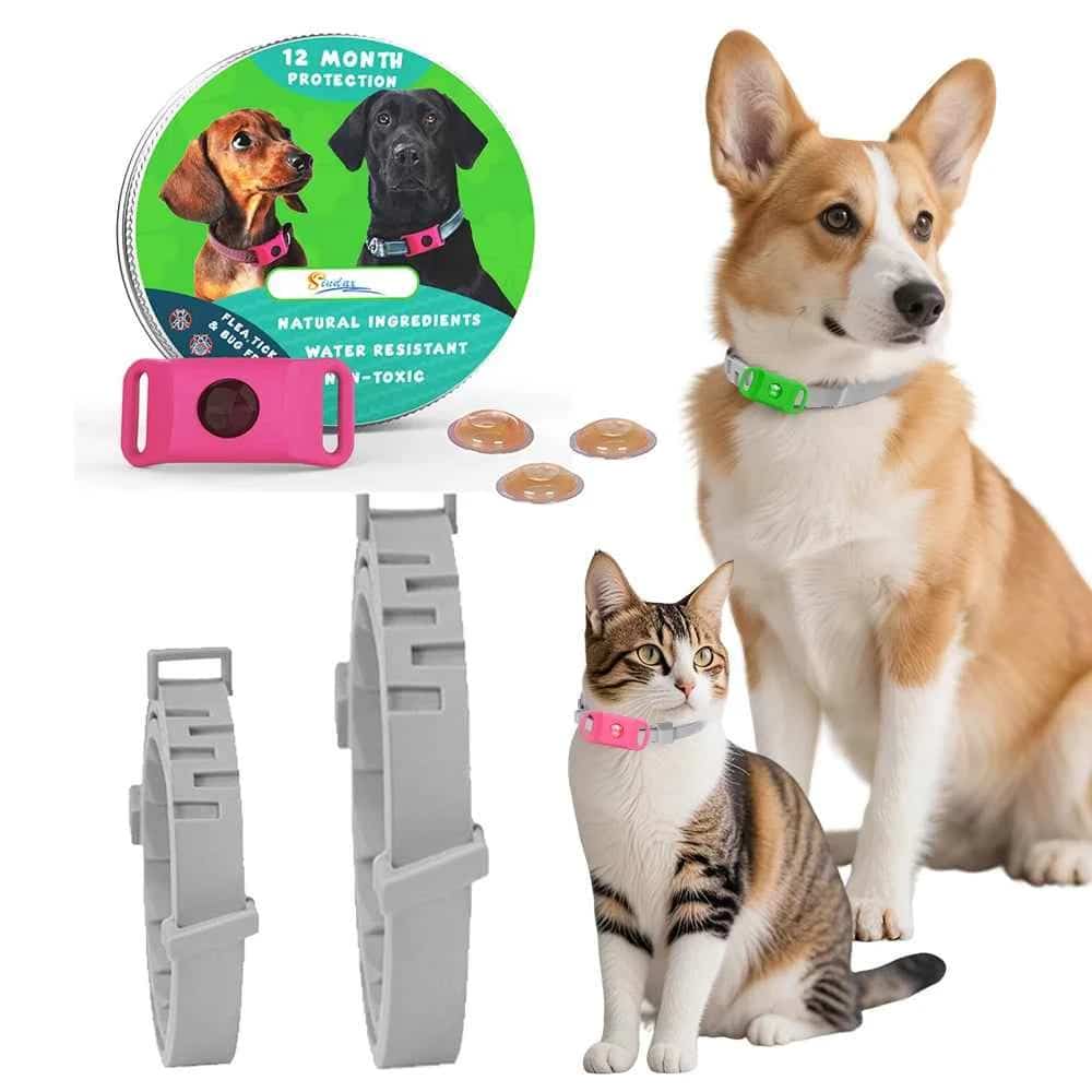 Pet products including a dog collar, cat collar, and a toy with a dog and cat on the packaging.
