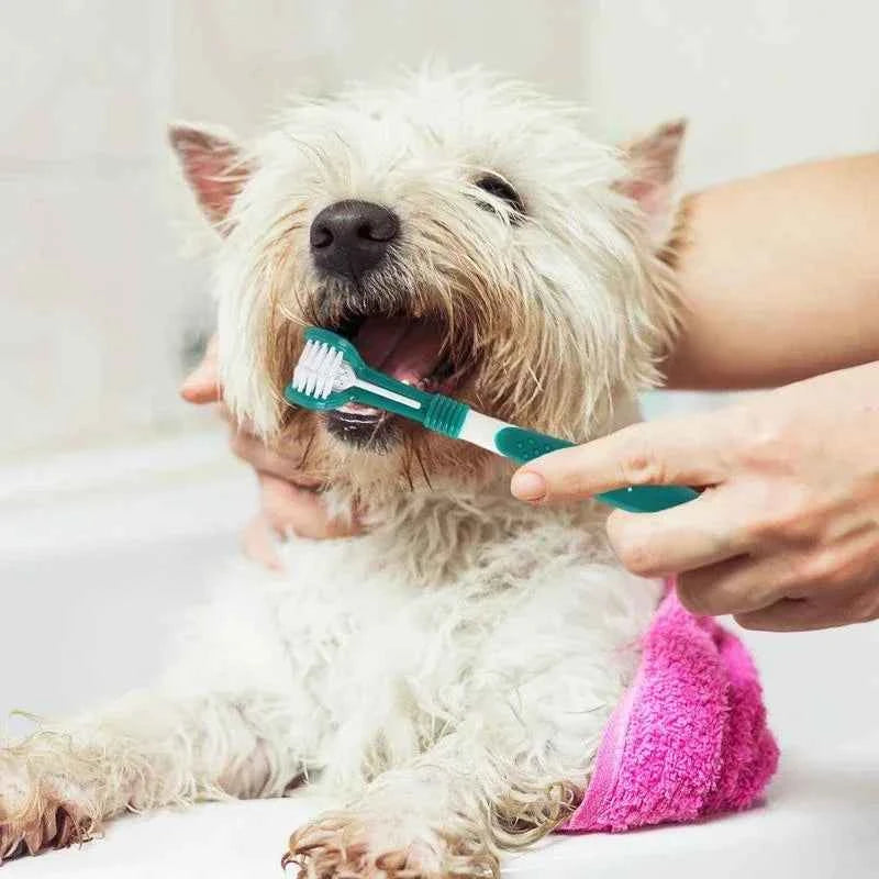 Pet Dental Care: 3-Sided Toothbrush for Bad Breath & Tartar