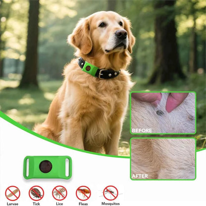 Best Anti-Flea & Tick Dog & Cat Collar 2025 – Safe Adjustable Pet Collar with Essential Oils