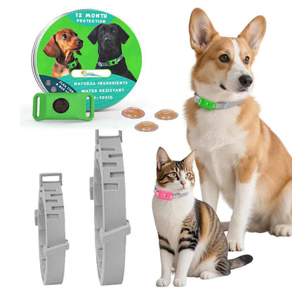 Best Anti-Flea & Tick Dog & Cat Collar 2025 – Safe Adjustable Pet Collar with Essential Oils