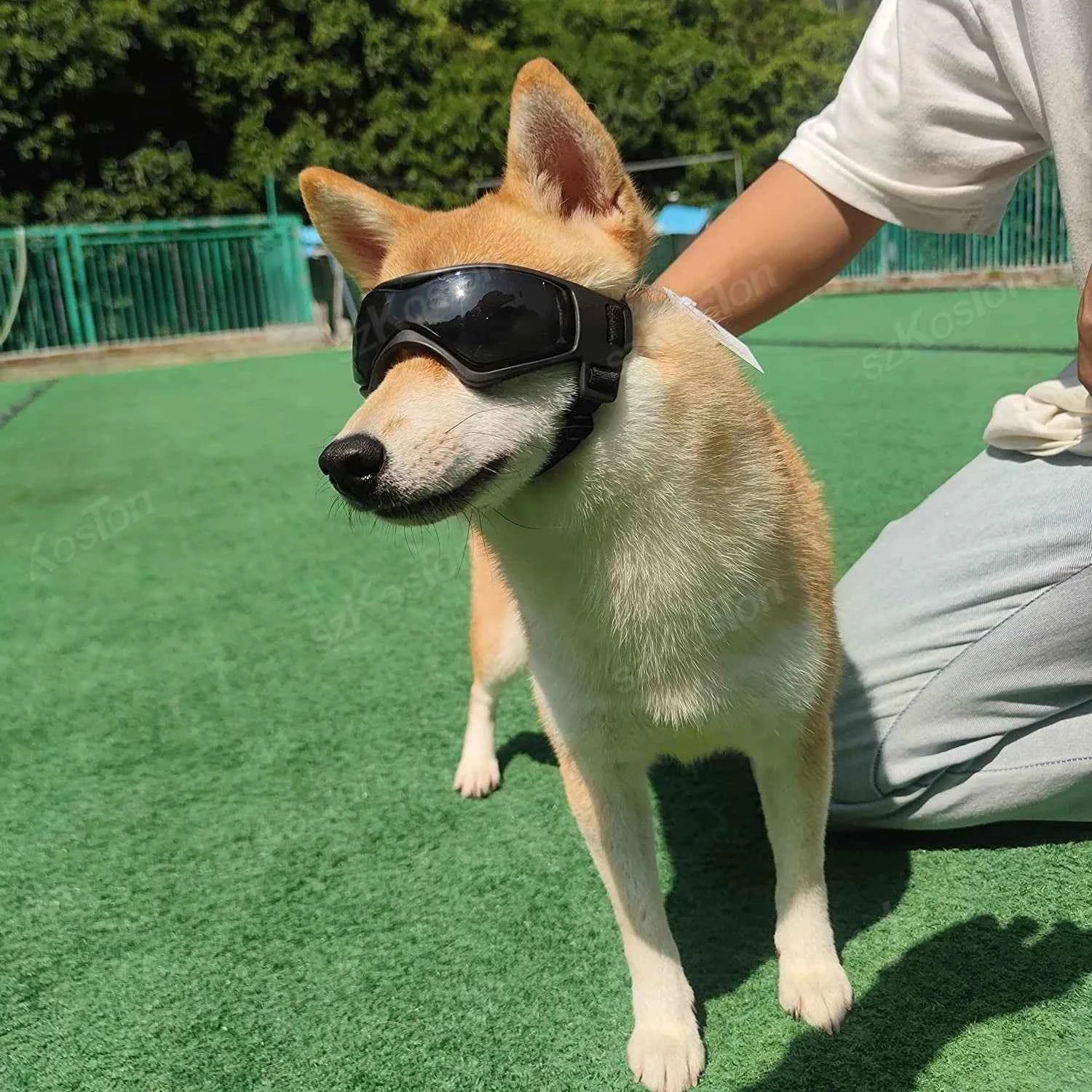 Adjustable Dog Goggles | UV Windproof Pet Eye Protection